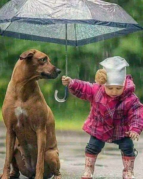 Piccoli gesti, grandi cuori 🌧️💕